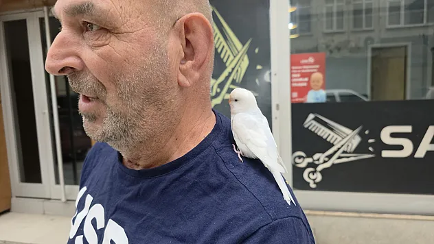 Düzce Sokaklarının 'Kuşçu Azmi Amcası'... Omzundaki Pamuk ile Şehir Şehir Geziyor!