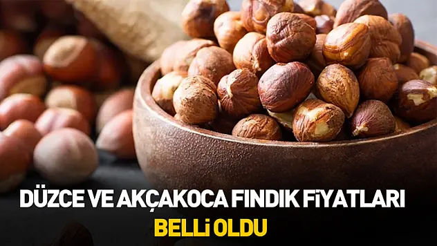 Düzce ve Akçakoca Fındık Fiyatları Belli Oldu (12 Ocak 2026)