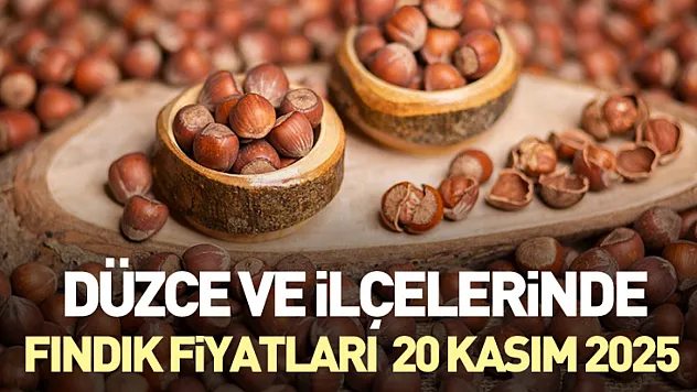 Düzce ve ilçelerinde Fındık Fiyatları 20 Kasım 2025