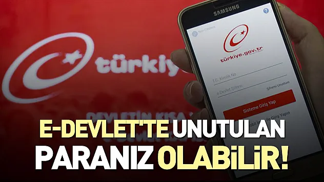 E-Devlet'te unutulan paranız olabilir! Kimlik numarası ile SGK para sorgulama nasıl yapılır?