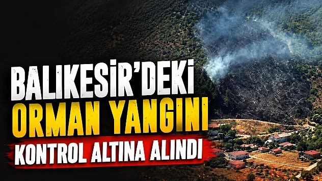 Edremit Körfezi'nde korkutan yangın: Ekipler seferber oldu