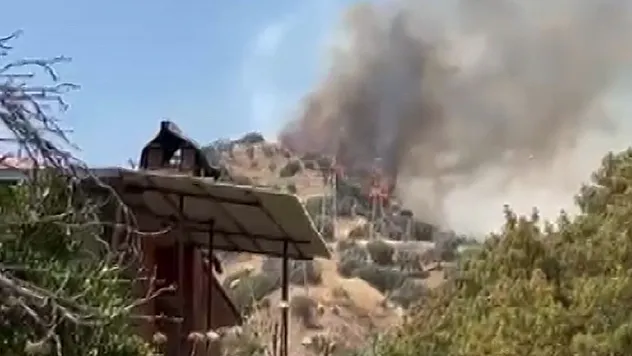 Efeler'de zirai alan yangını