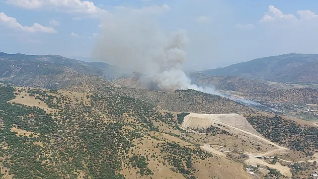 Efeler'de zirai alanda yangın