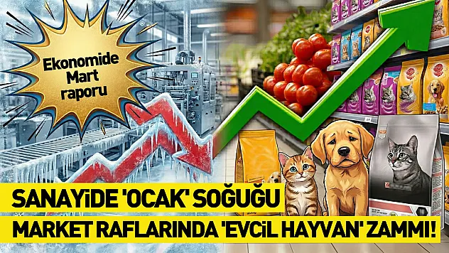 Ekonomide Mart raporu: Sanayide 'Ocak' soğuğu, market raflarında 'evcil hayvan' zammı!