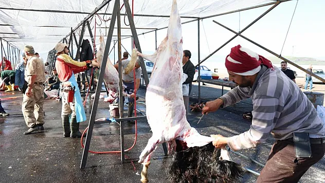 Elazığ'da Bayram Sabahı Kurban Mesaisi! Kesim Alanlarında Yoğunluk Oluştu