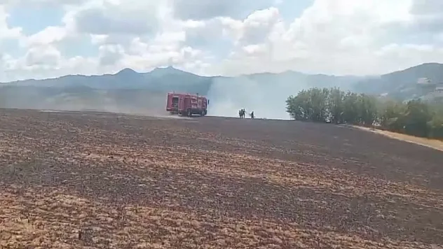 Elektrik tellerine çarpan kartal yangına sebep oldu
