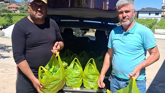 Emcelli biberi gurbetçilerin gözdesi oldu