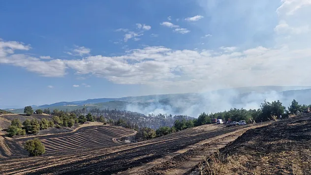 Erbaa'da çıkan yangına müdahale devam ediyor
