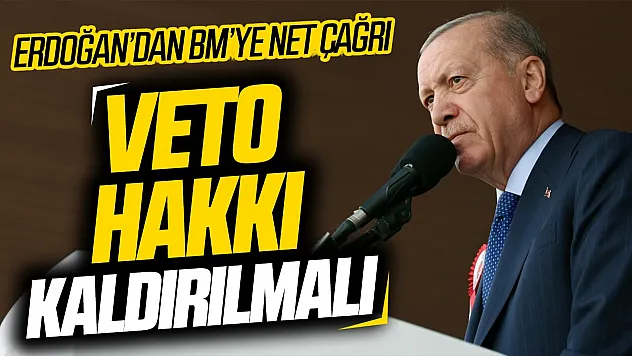 Erdoğan'dan BM güvenlik konseyi için veto çağrısı