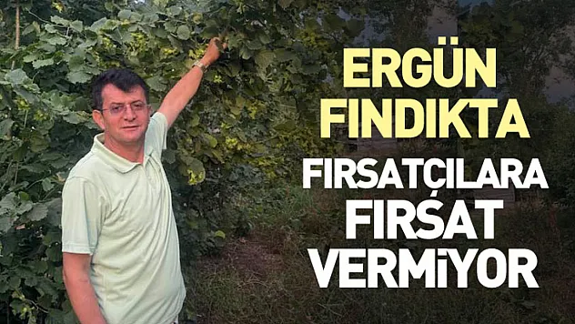 Ergün, Fındıkta Fırsatçılara Fırsat Vermiyor