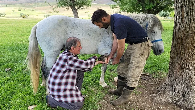 Erzincan'da yarım asırdır nalbantlık yapıyor