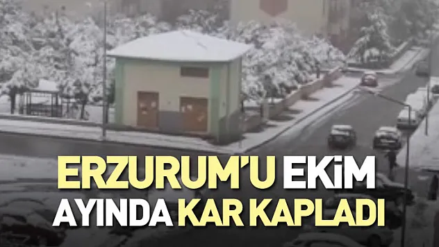 Erzurum'u Ekim Ayında Kar Kapladı