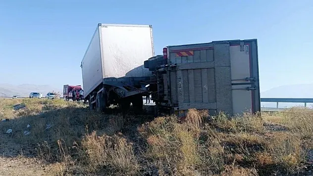 Eşeğe çarpmamak için direksiyonu kırdı! Yük kamyonu kaza yaptı