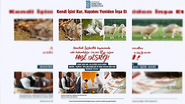 Eski hükümlü ve engellilere 550 Bin TL Hibe desteği! İşte başvuru sartları ve tüm detaylar