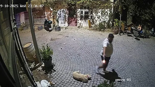 Eski sevgilisi tarafından eğlence mekanında vuruldu