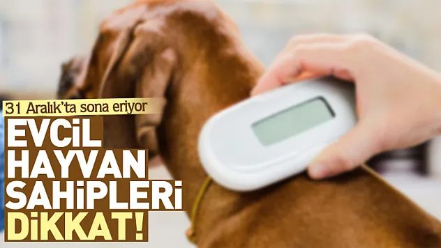 Evcil hayvan sahipleri dikkat! 31 Aralık'ta sona eriyor