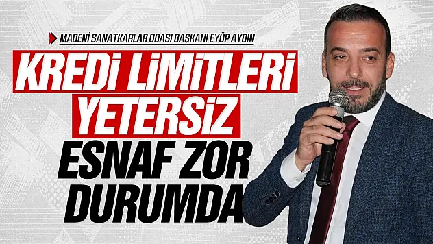 Eyüp Aydın, 'Kepenk kapatma oranı yüzde 10 civarında'