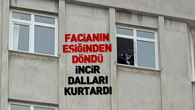 Facianın Eşiğinden Döndü, İncir Dalları Kurtardı