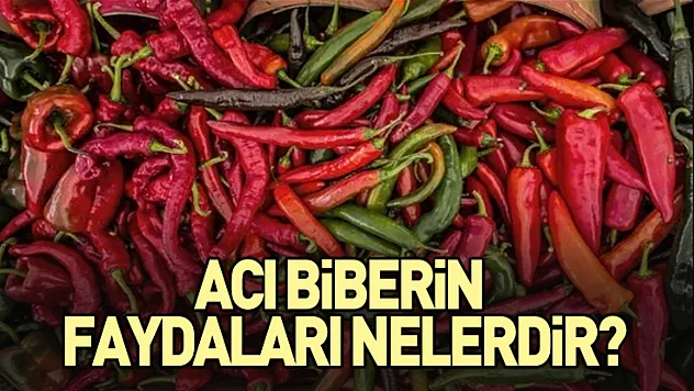 Faydaları saymakla bitmiyor! İşte acı biberin faydaları