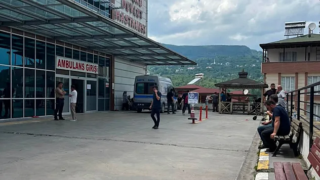 Fındık bahçesinde acı olay