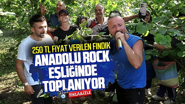 Fındık bahçesinde müzik molası