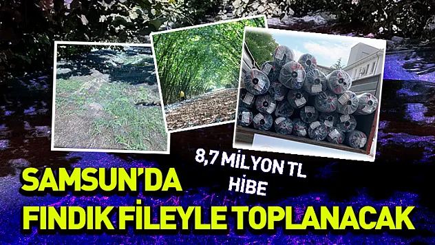 Fındık filesine 8.7 milyon hibe