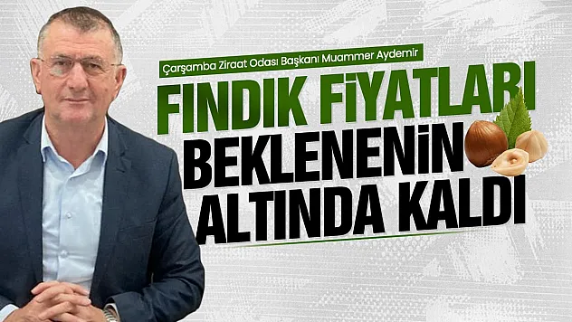 Fındık fiyatına ilk değerlendirme Muammer Aydemir'den