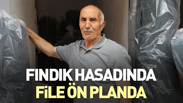 Fındık hasadında file ön planda