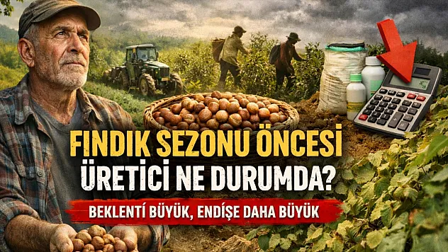 Fındık sezonu öncesi üretici ne durumda? Beklenti büyük, endişe daha büyük