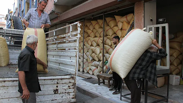 Fındıkta Avrupa Talebi Düştü, Gözler Yeniden Artışta