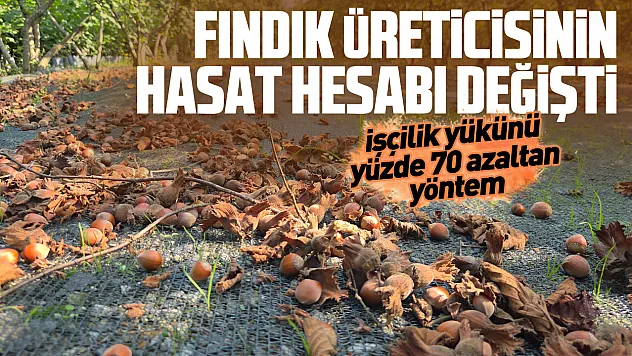 Fındıkta file dönemi: İşçilik maliyetini yüzde 70 düşürüyor
