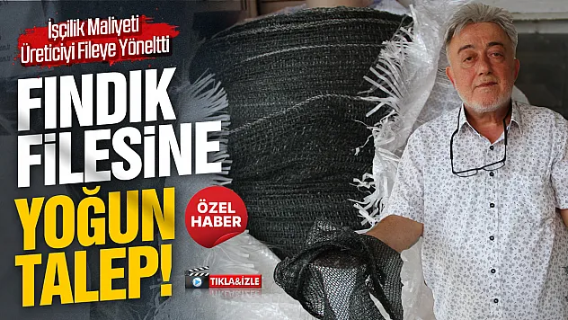 Fındıkta fileye rağbet arttı