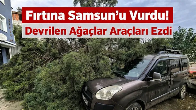 Fırtına Samsun'u Vurdu! Devrilen Ağaçlar Araçları Ezdi