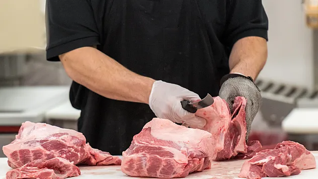 Fransa'da E.coli skandalı: 1 çocuğun öldüğü zehirlenme vakasında 6 kasaba soruşturma