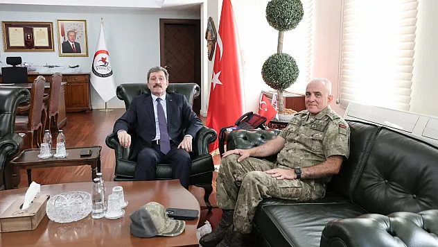 Gazi Tümgeneral Davut Ala'dan Vali Tavlı'ya veda ziyareti
