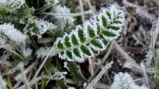 Gece oluşuyor, sabah her yeri beyaza bürüyor… Kırağı nedir, yağar mı, ne zaman ortaya çıkar?