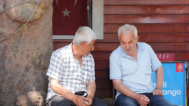 Geciken Emekli Maaşına Yargıtay'dan Kritik Karar