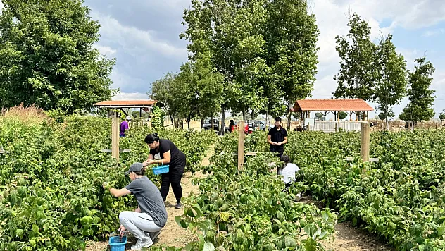 Genç girişimci hem üretiyor hem istihdam sağlıyor