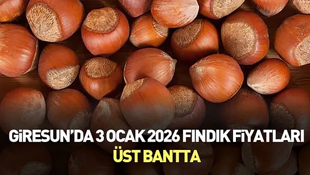Giresun'da 3 Ocak 2026 Fındık Fiyatları Üst Bantta
