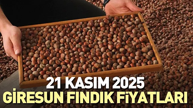 Giresun'da Bugün fındık ne kadar? 21 Kasım 2025 Fiyatları Açıklandı!