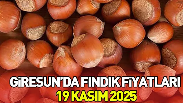 Giresun'da Fındık Fiyatları | 19 Kasım 2025