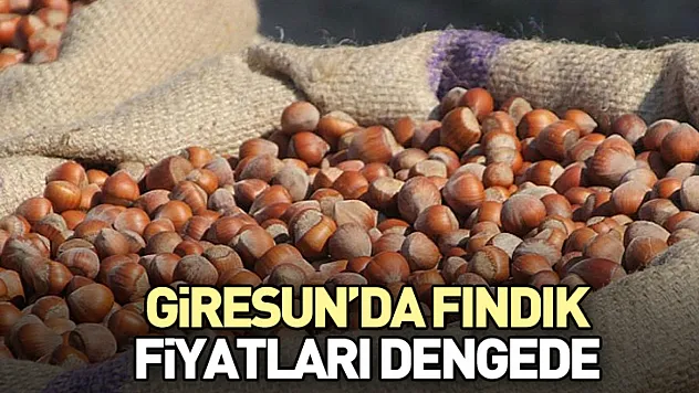 Giresun'da fındık fiyatları dengede