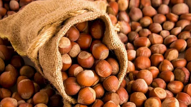 Giresun'da fındık fiyatları gücünü koruyor