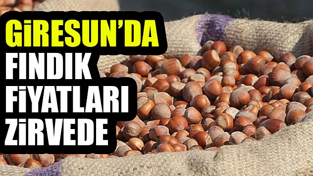 Giresun'da Fındık Fiyatları Zirvede