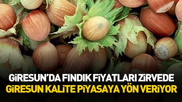 Giresun'da Fındık Fiyatları Zirvede: Giresun Kalite Piyasaya Yön Veriyor