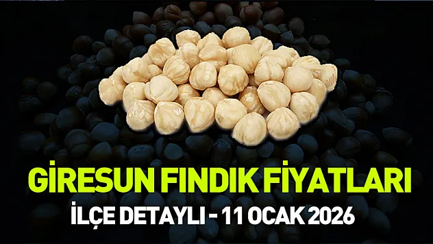 Giresun'da Fındık Kaç TL? 11 Ocak 2026 Bulancak, Keşap ve Tirebolu Fiyatları
