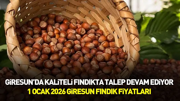 Giresun'da Kaliteli Fındıkta Talep Devam Ediyor – 1 Ocak 2026 Giresun Fındık Fiyatları