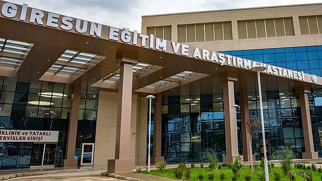 Giresun'da kamyonet kayalıklara çarptı: 1 ölü, 2 yaralı
