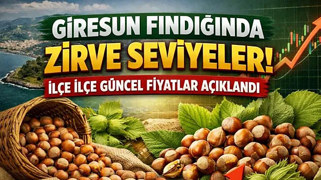Giresun Fındığında Zirve Seviyeler: İlçe İlçe Güncel Fiyatlar Açıklandı
