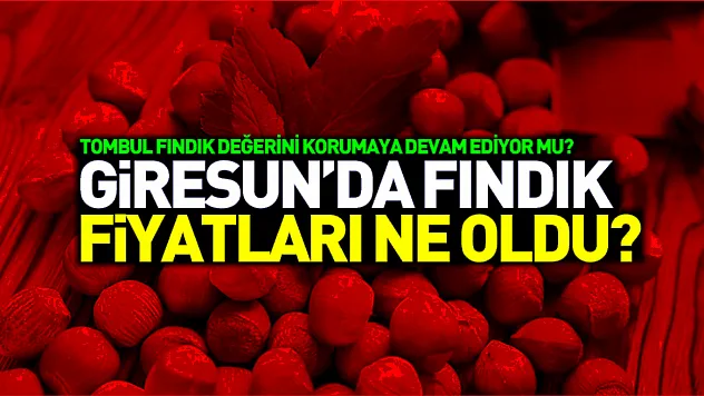 Giresun fındık fiyatları 7 Kasım 2025: Tombul fındık değerini korumaya devam ediyor mu?